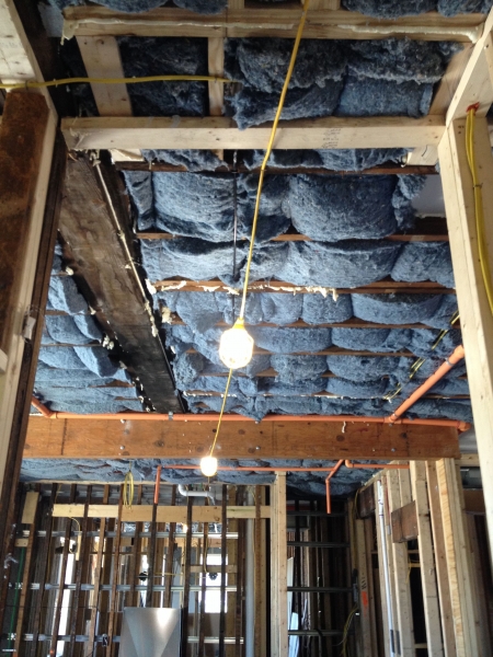 blue jean insulation in ceiling