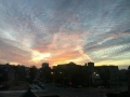 elmooreskies8
